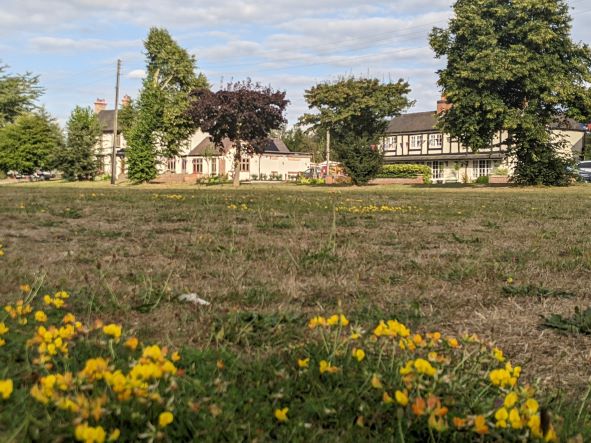 The village green in dry weather, August 30th